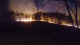 Pożar hałdy przy Rymerze w Rybniku. Zastępy strażackie z Rybnika, Rydułtów i Radlina walczą z ogniem