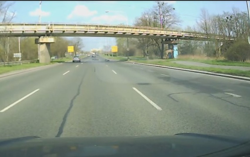 Wrocław. Jeleń uderzył w motocyklistę. Było o włos od tragedii (ZOBACZ FILM)