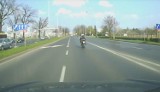 Wrocław. Jeleń uderzył w motocyklistę. Było o włos od tragedii (ZOBACZ FILM)