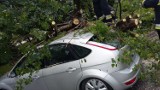 Kolejna nawałnica w Olkuszu. Drzewo spadło na auto