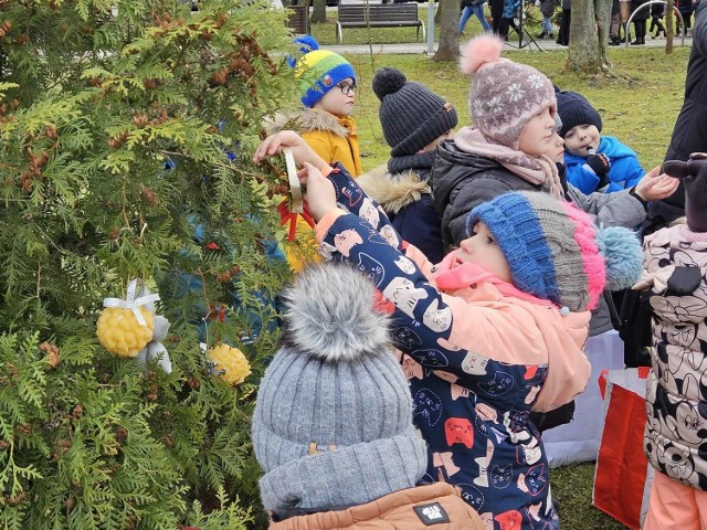 Dzieci z gminy Staszów dekorowały choinki w parku Adama Bienia. Więcej zdjęć na kolejnych slajdach>>>