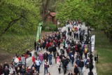 Kraków. Park Bednarskiego otwarty hucznie. Zabawa na pikniku