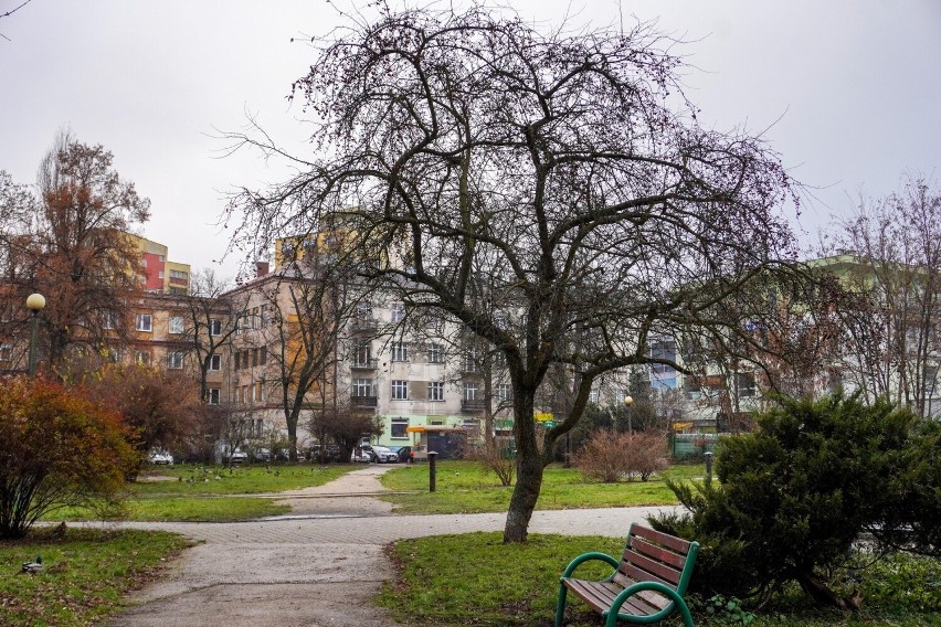 Przygotowania do przebudowy skweru w centrum Kielc. Będzie wycinka drzew. Zobacz zdjęcia