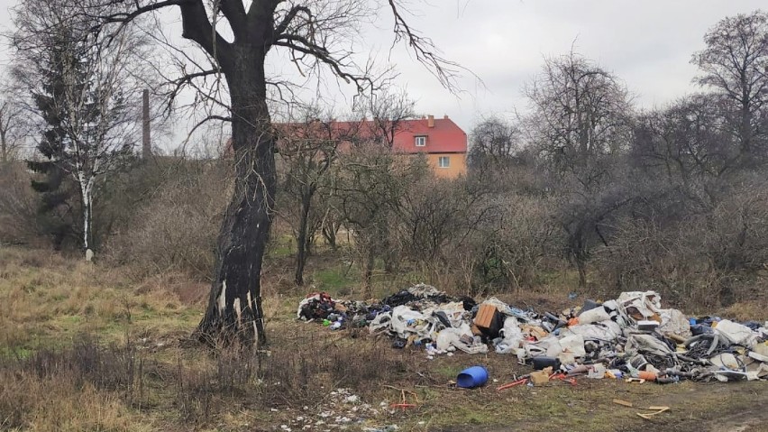 Odpady na Przeróbce. Sprawca został złapany na gorącym uczynku i ukarany mandatem [zdjęcia]