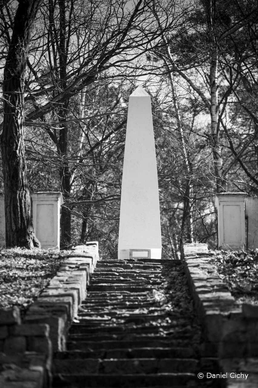 Cmentarze wojenne w Pile. Zapomniane i skrywające niejedną tajemnicę