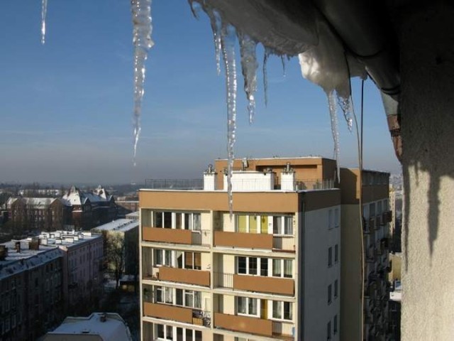 Dziś (środa) w słońcu było nawet plus 16 stopni C, ale taką ...