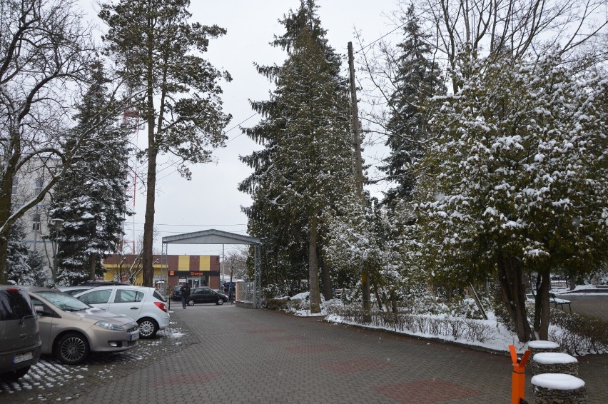 Zima wróciła wiosną do Bełchatowa, kwiecień 2022