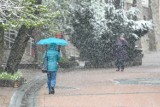 Zima w Zakopanem nie odpuszcza. Na Kasprowym Wierchu 83 cm śniegu