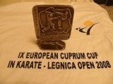 IX European Cuprum Cap in karate - Legnica Open 2008