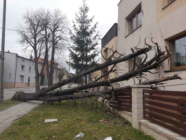 Dobrze, że nikt nie ucierpiał