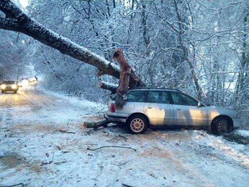 Drzewo runęło na samochód