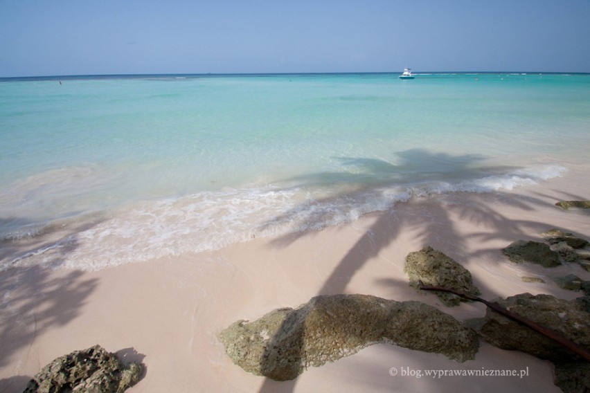 Rajska plaża - Barbados