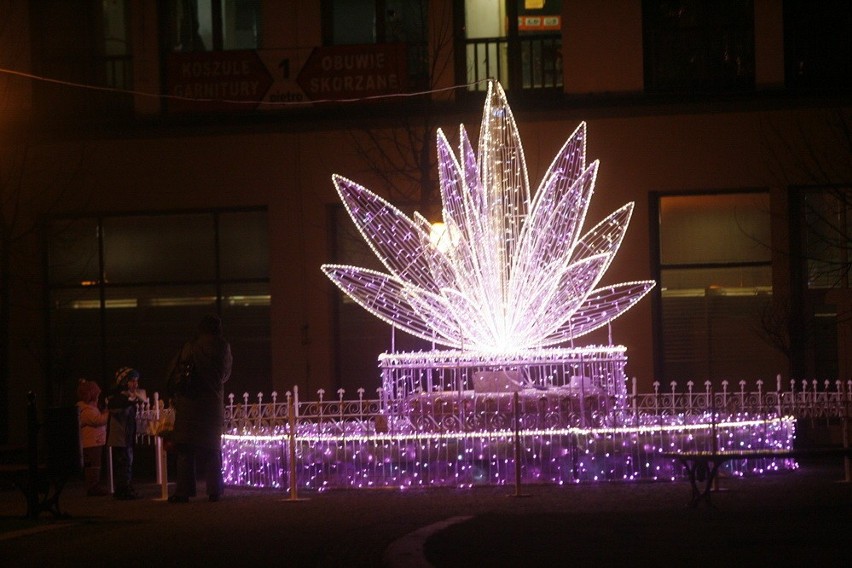Iluminacja świąteczna w Legnicy (ZDJĘCIA)