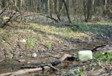 Plaga śmieci w naszych lasach