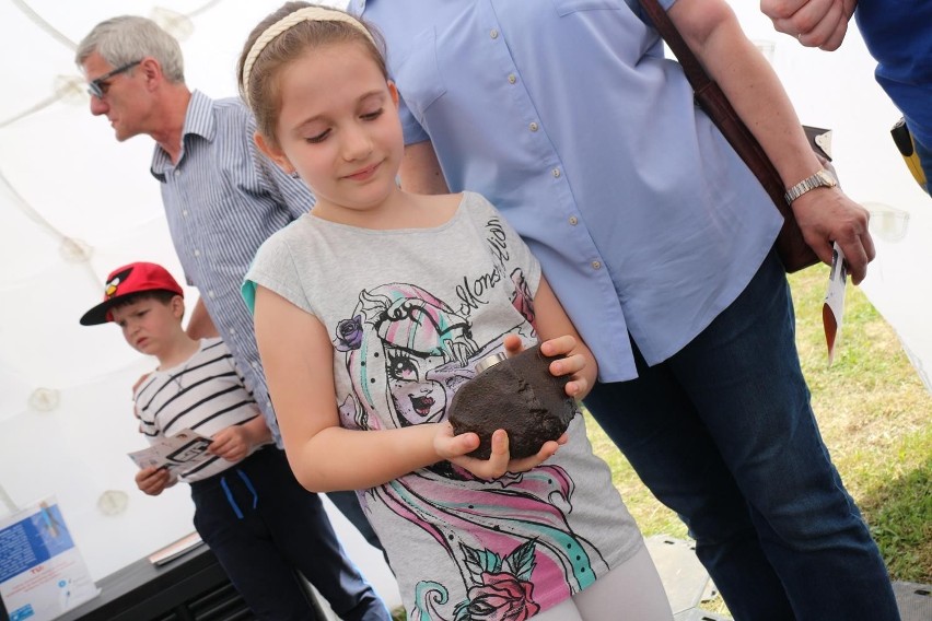 Wstęp na imprezę jest bezpłatny. Ekspozycję można zwiedzać w...