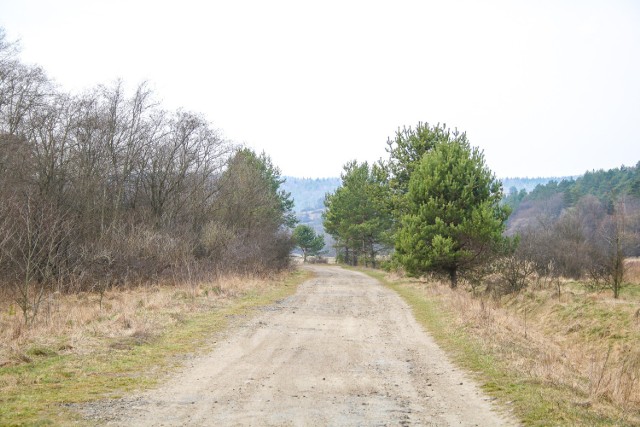 W ramach inwestycji zostaną m.in oznaczone szlaki, zabezpieczone studzienki, ogrodzone kapliczki, zamontowane stojaki na rowery.