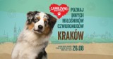 Kolejne miasto na mapie wydarzeń #Carniloving już znane! Zapraszamy do Krakowa!