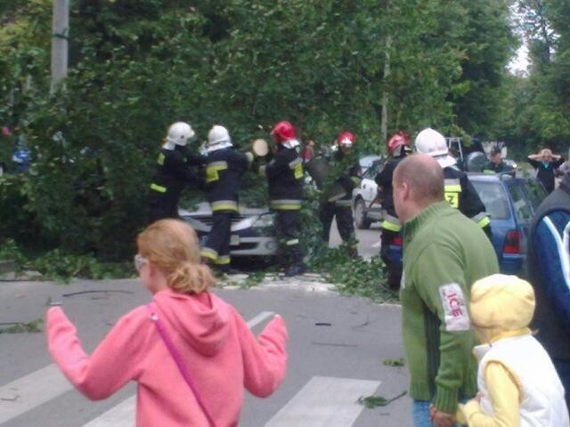 Władysławowo: Ochroniarze i wolontariusze uratowali pasażerów auta przygniecionego przez drzewo