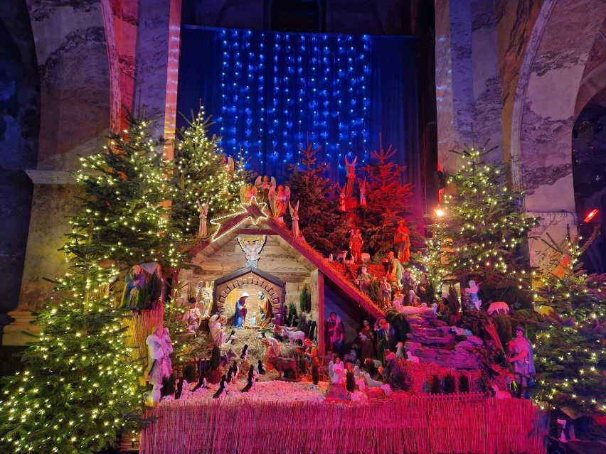 Zachwycająca szopka na Boże Narodzenie 2022 w Archiopactwie Cystersów w Jędrzejowie. Zobaczcie na zdjęciach jak wygląda