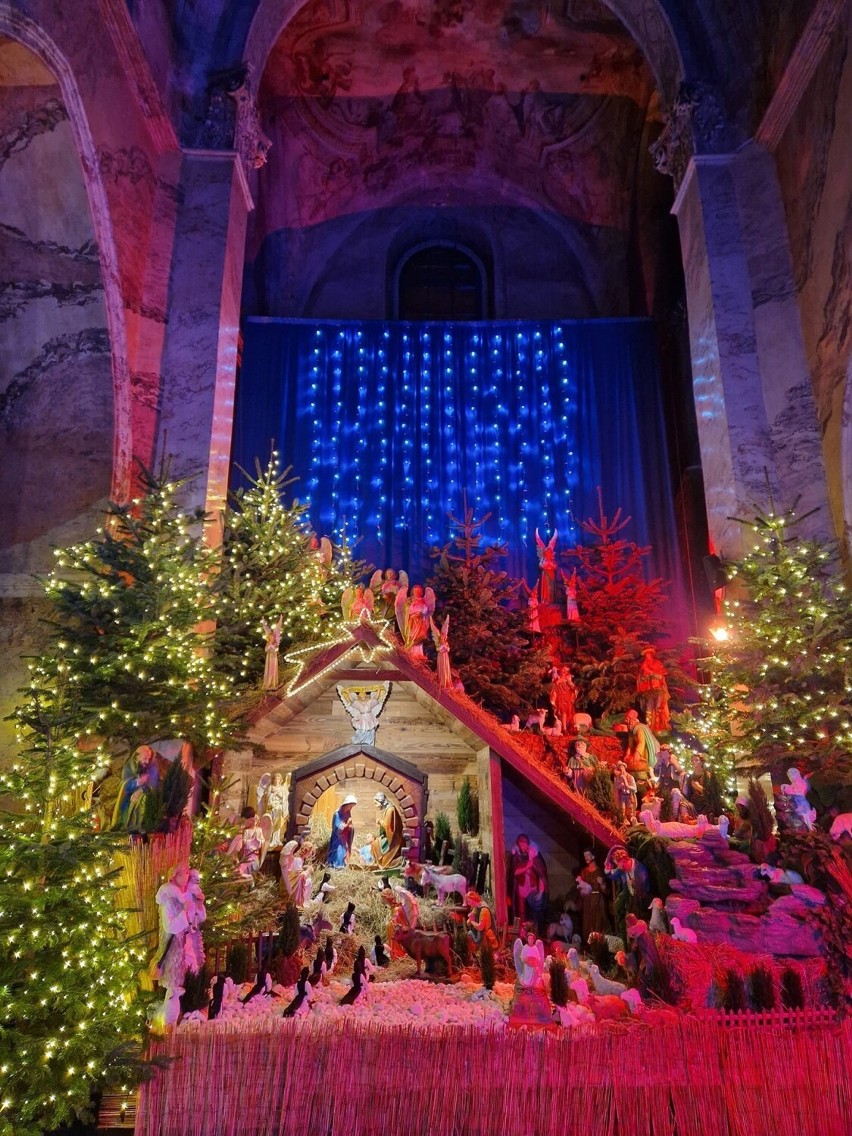 Zachwycająca szopka na Boże Narodzenie 2022 w Archiopactwie Cystersów w Jędrzejowie. Zobaczcie na zdjęciach jak wygląda