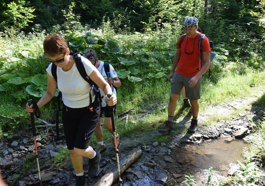 Z przewodnikiem PTTK Ziemia Sanocka na Orli Kamień [ZDJĘCIA]