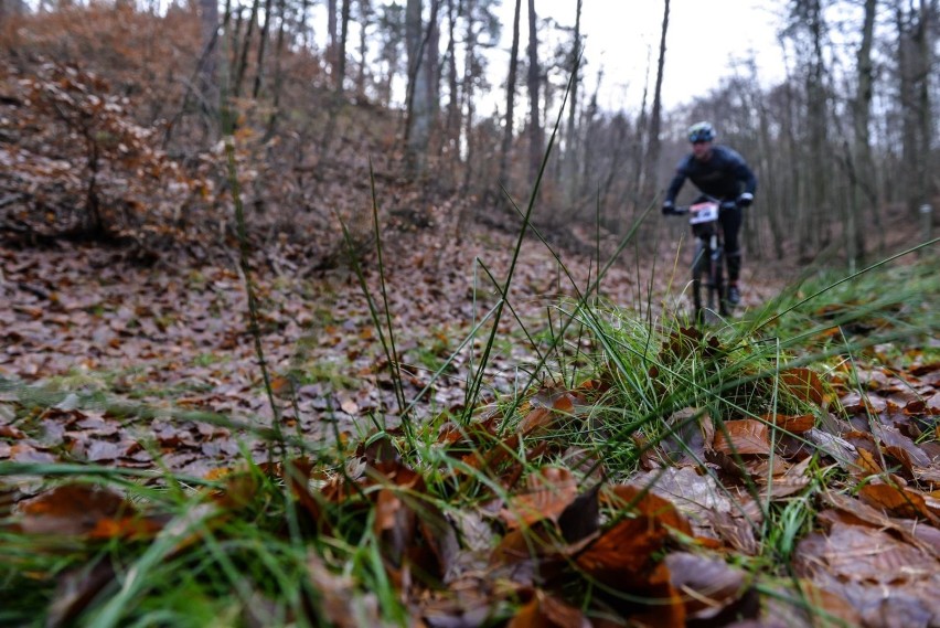 Pomorskie atrakcje na weekend. Podróż w głąb Trójmiejskiego Parku Krajobrazowego - najpierw pociągiem PKM, a później rowerem lub na piechotę