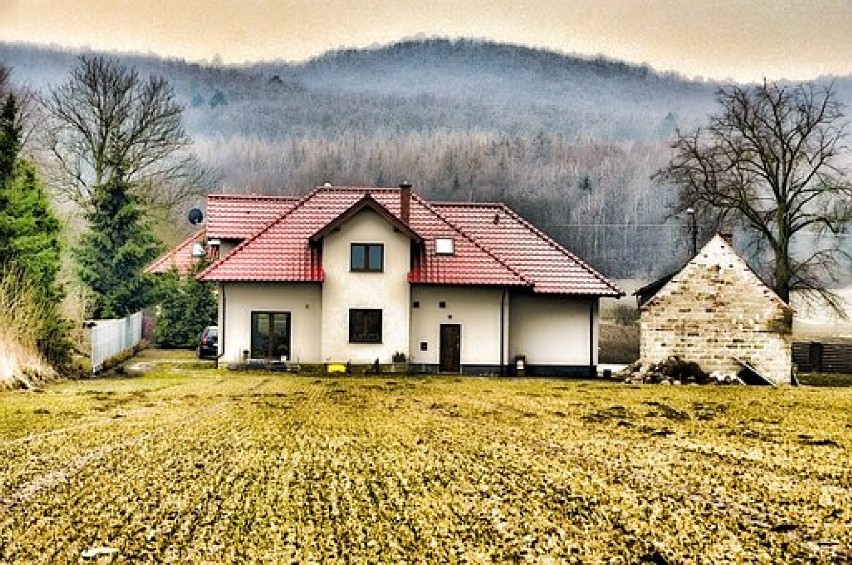 Chcesz postawić dom na wsi? Oto najtańsze działki na Dolnym Śląsku. Zobacz oferty do 50 tys. zł