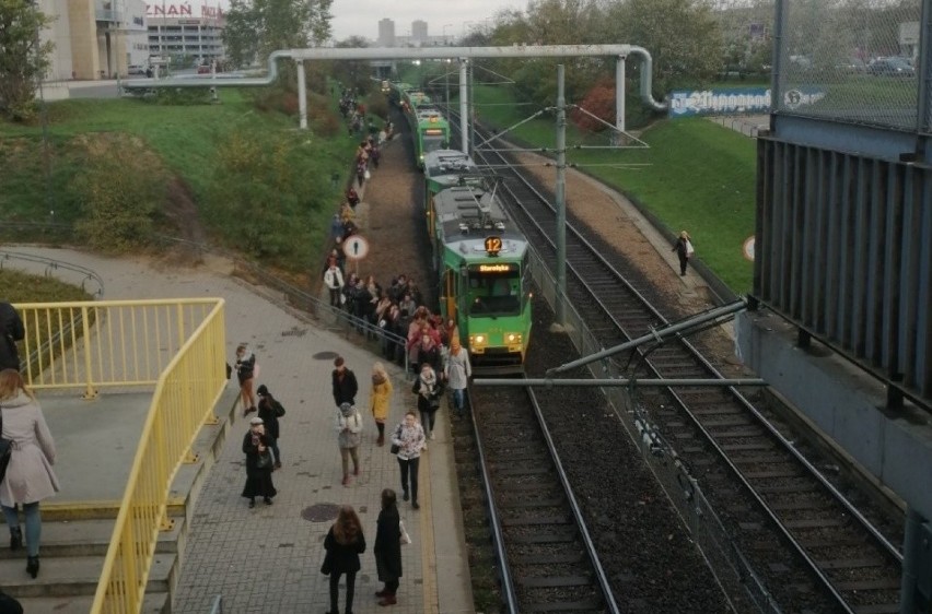 Awaria spowodowała wstrzymanie ruchu tramwajowego w kierunku...