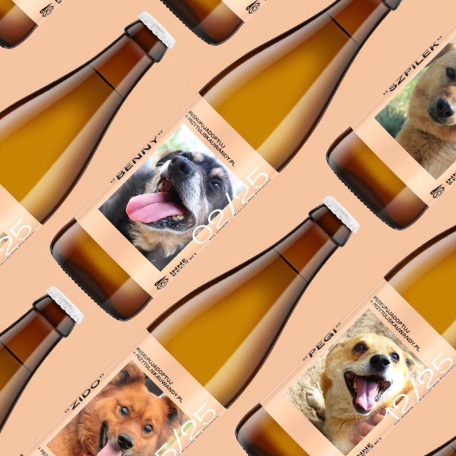 Adoptuj psa z etykiety piwa. Piękna akcja dla bezdomnych czworonogów trafiła także do Warszawy