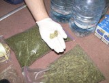 Dwóch handlarzy narkotyków w rękach lubelskiej policji (WIDEO, ZDJĘCIA)