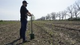 Nowy, wielki las rośnie na Osobowicach. Posadzono już prawie 30 tys. sadzonek