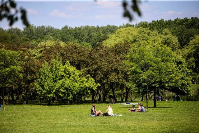 Dolina Trzech Stawów w Katowicach to niezwykłe miejsce. Park w środku miasta, który przecina autostrada