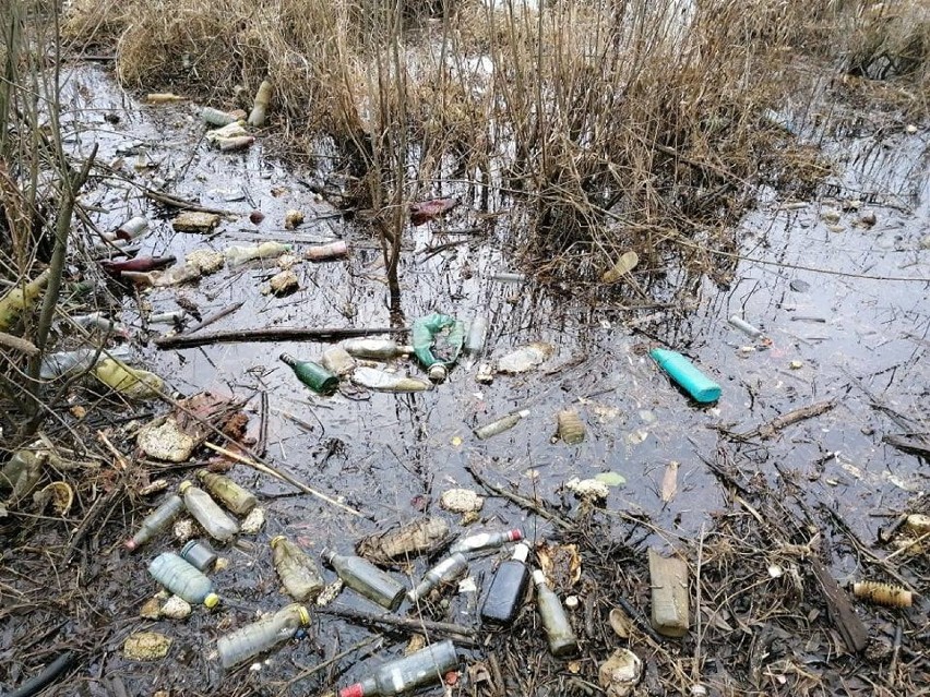 Tony śmieci na brzegach jezior Żywieckiego i Międzybrodzkiego. Strażnicy SSR apelują o opamiętanie się [ZDJĘCIA]