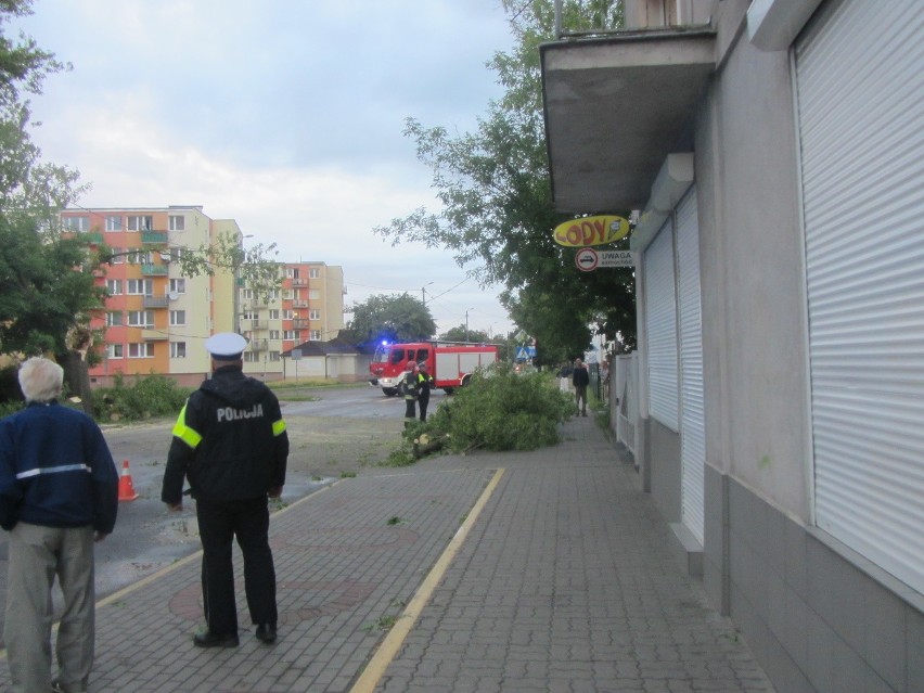Wichura zwaliła stare drzewo przy ulicy Kaliskiej.przy filii...