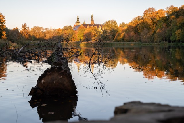 Na fotografiach uwieczniliśmy m.in. oleśnickie parki