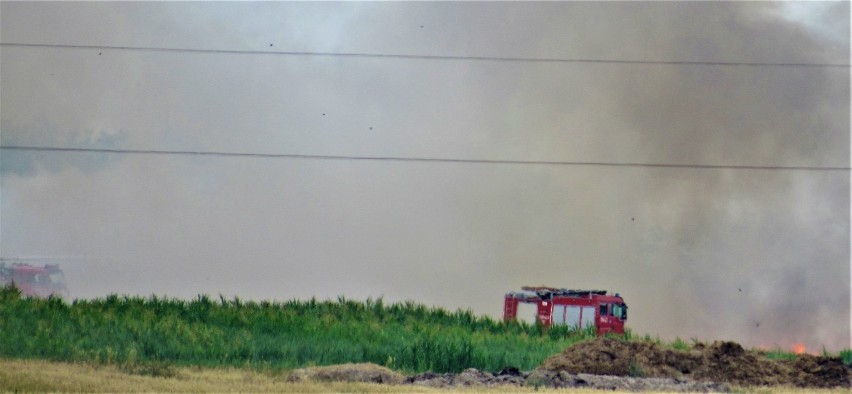 To już niemal tragedia. Pożar za pożarem na polach w powiecie