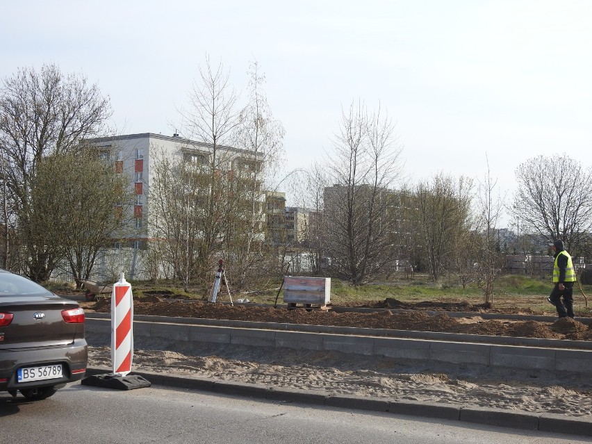 Przebudowa ulicy Szpitalnej w Suwałkach. Mieszkańcy: Zostawcie te drzewa!