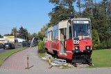 Migawka z 1985 roku i pocztówka dołączyły do zbiorów dokumentów, fotografii, biletów