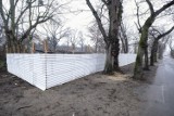 Wielka budowa na terenie fabryki HCP w Poznaniu. Będzie wycinka drzew, ale nie wiadomo co z dojazdem 