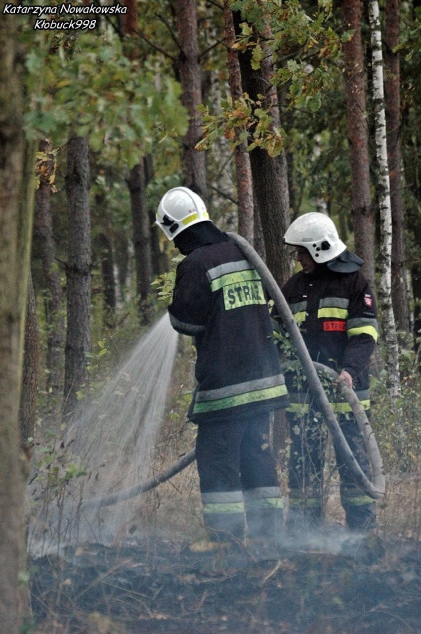 Krzepice: Pożary lasów