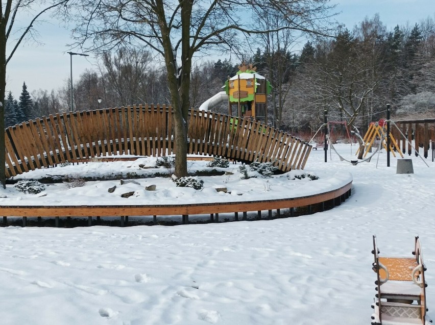 Park im. Jacka Kuronia w Sosnowcu w zimowej odsłonie.
