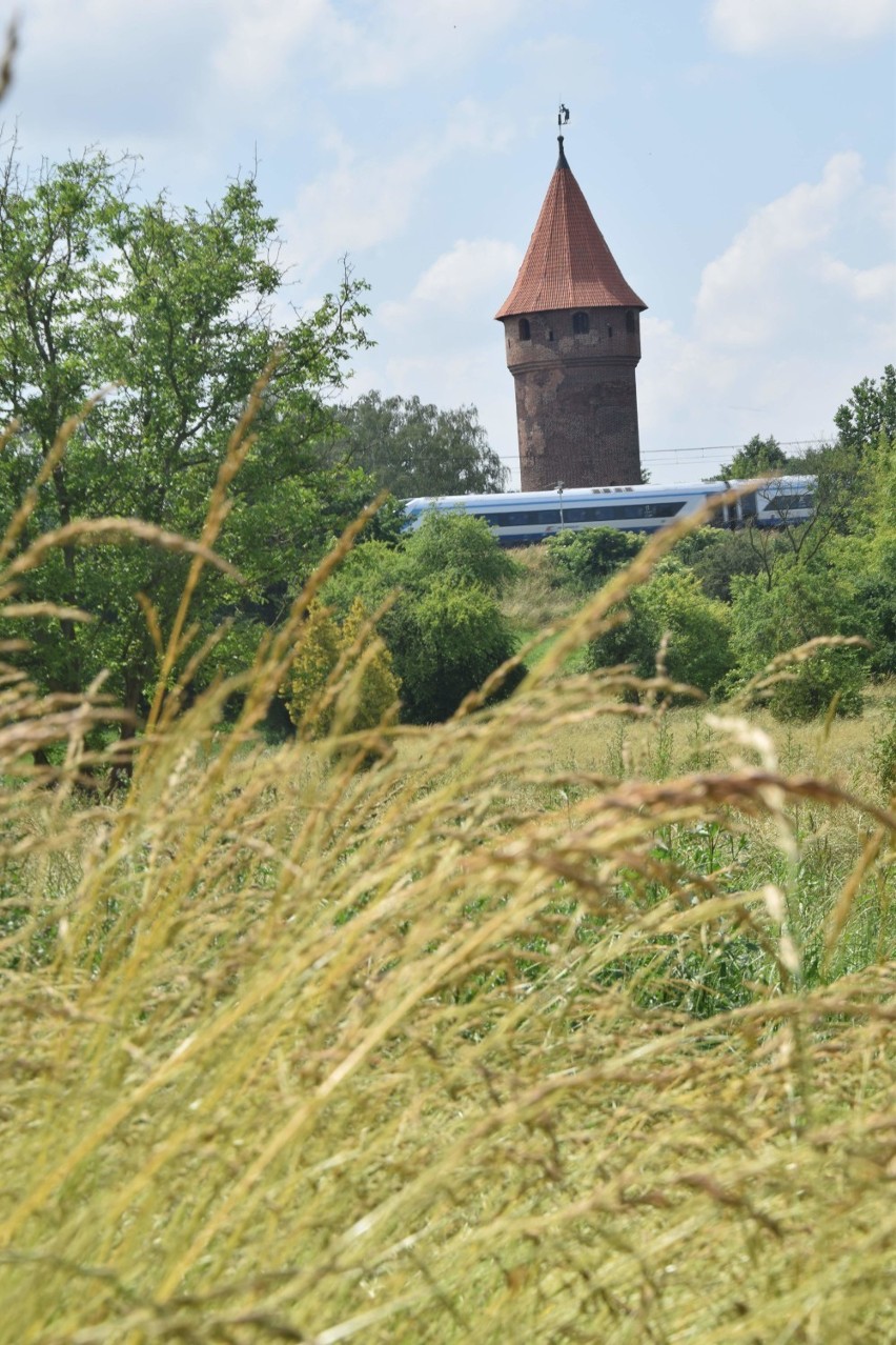 Malbork. Plac zabaw nad Nogatem tak szybko nie powstanie. Władze miasta chcą zmieścić się w kosztorysie inwestycji