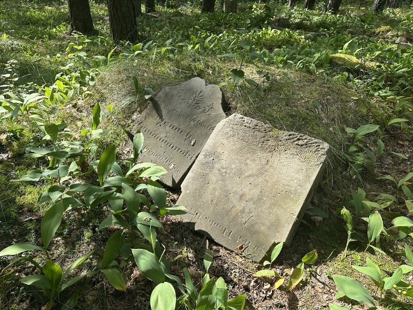 Cmentarz żydowski w Bączku. Prace porządkowe zainicjował tu mężczyzna skazany za podwójne zabójstwo....
