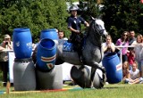 Międzynarodowy Turniej Policji Konnej. Czesi znów najlepsi