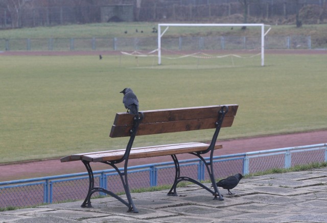 Przy głównym boisku na stadionie międzyszkolnym od lat nie ma trybuny z prawdziwego zdarzenia. Dla kibiców ustawiono... ławki.