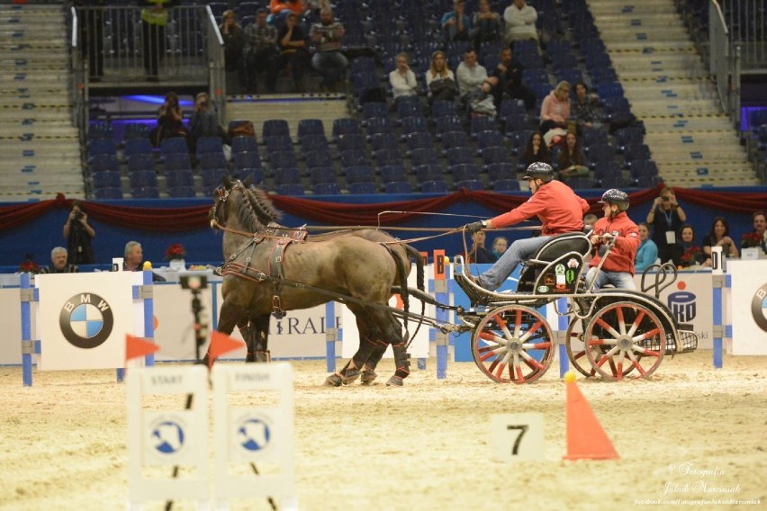 Cavaliada: Sobotnie zmagania na MTP [zdjęcia]