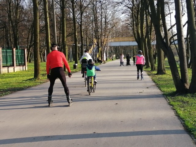 Oświęcimianie chętnie korzystają z uroków wiosny. Na oświęcimskich plantach zrobiło się tłoczno.