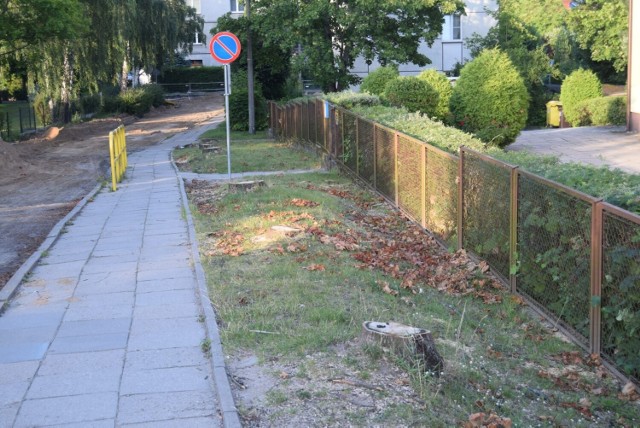 Miasto remontuje cztery ulice, w tym m.in. Brzechwy. Niestety pod nóż poszło 11 drzew.