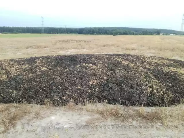 Firma w Gliwic zwozi śmierdzące osady z oczyszczalni ścieków na pola na granicy Dąbrowy Górniczej i gminy Łazy Zobacz kolejne zdjęcia/plansze. Przesuwaj zdjęcia w prawo - naciśnij strzałkę lub przycisk NASTĘPNE