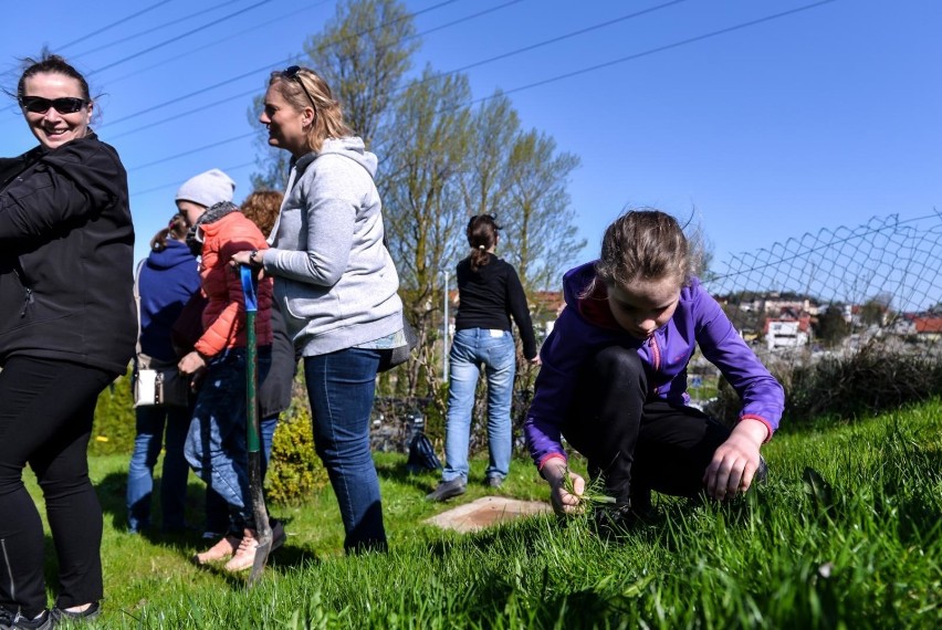 Akcja "Razem uporządkujmy Gdańsk Południe"